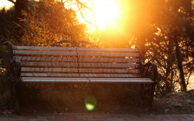 Skådespelare till sommarföreställningen ”Livskrisernas parkbänk” sökes!